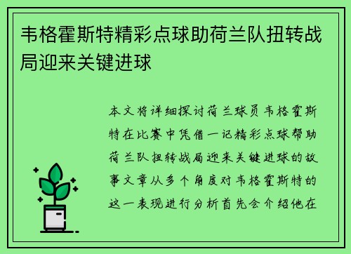韦格霍斯特精彩点球助荷兰队扭转战局迎来关键进球